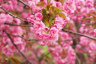 无锡新吴区7线下个人借款平台一站式服务，轻松解决资金难题