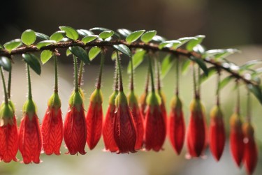 无锡新吴区7零用贷短借：轻松解决临时资金需求