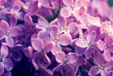 无锡新吴区7企业急用钱贷款攻略：快速融资解燃眉之急